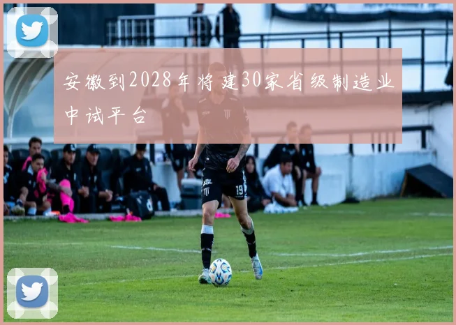 安徽到2028年将建30家省级制造业中试平台
