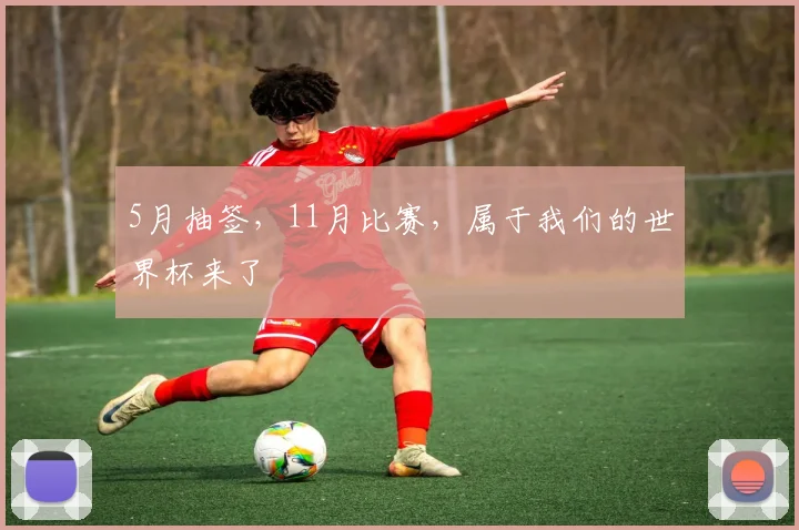 5月抽签，11月比赛，属于我们的世界杯来了