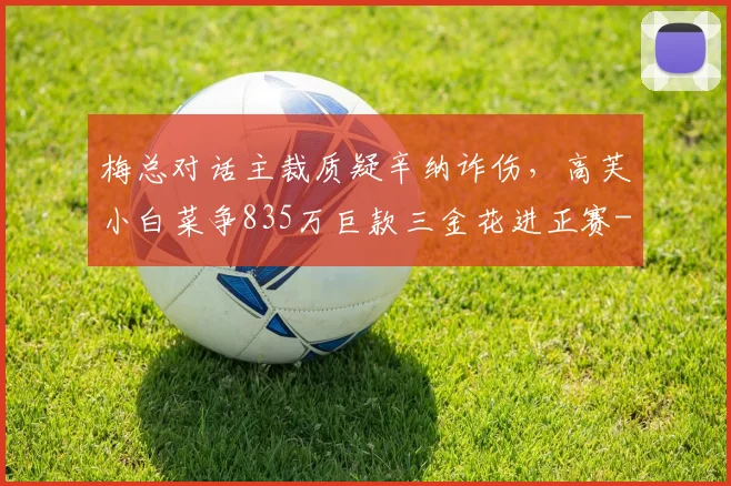 梅总对话主裁质疑辛纳诈伤，高芙小白菜争835万巨款三金花进正赛